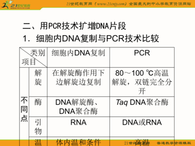 生物2011年高考人教版第一輪精品課件:dna和蛋白質(zhì)技術(shù)1