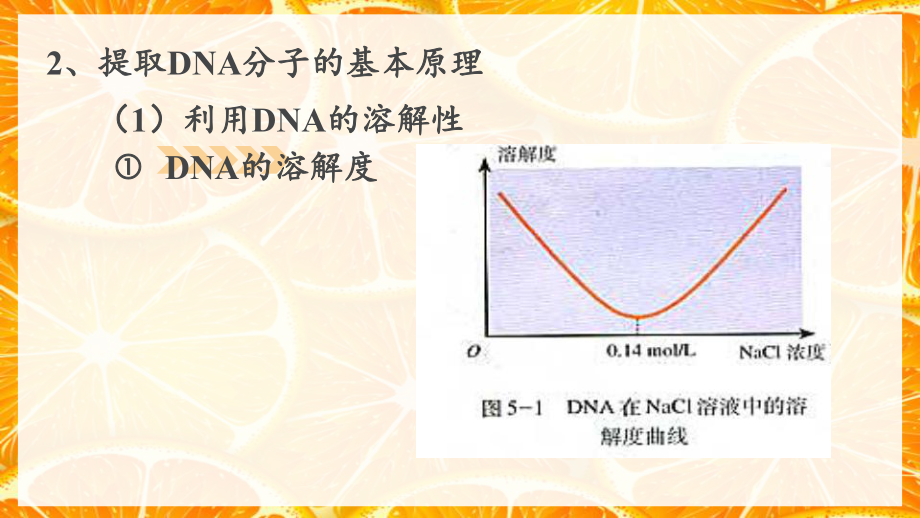 專(zhuān)題5DNA和蛋白質(zhì)技術(shù)